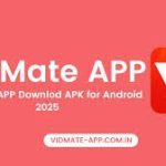 A Cleaner Way to Use Vidmate